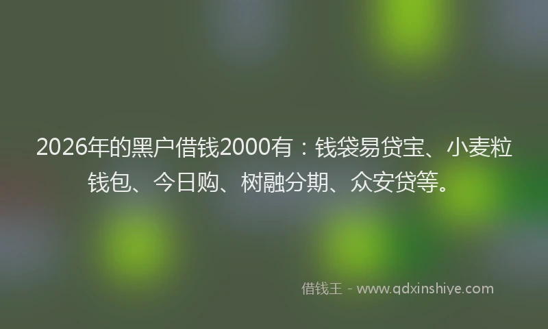 2026年的黑户借钱2000有：钱袋易贷宝、小麦粒钱包、今日购、树融分期、众安贷等。