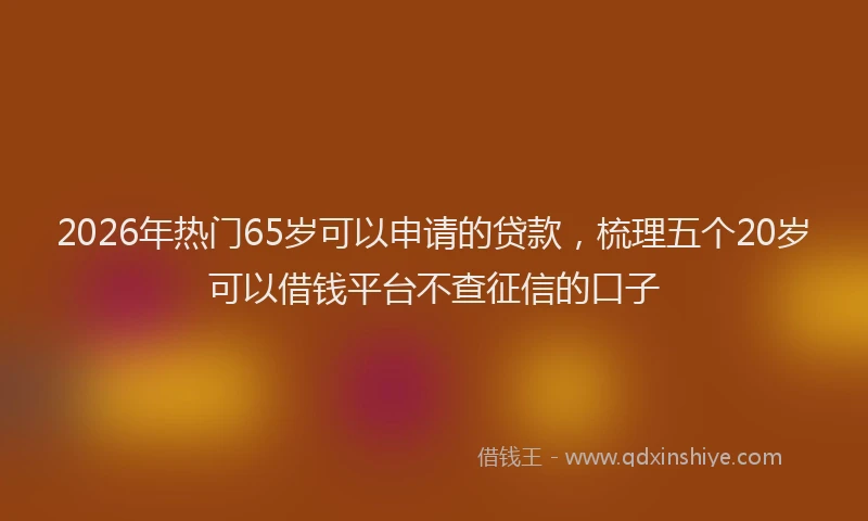 2026年热门65岁可以申请的贷款，梳理五个20岁可以借钱平台不查征信的口子