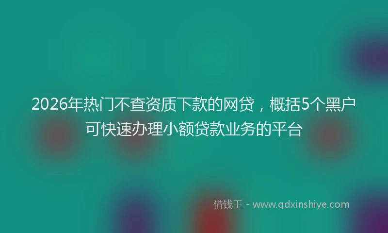 2026年热门不查资质下款的网贷，概括5个黑户可快速办理小额贷款业务的平台