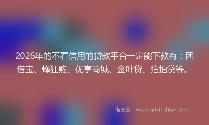 2026年的不看信用的贷款平台一定能下款有：团借宝、蜂狂购、优享商城、金叶贷、拍拍贷等。