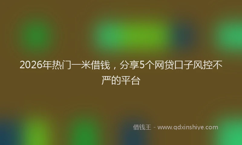 2026年热门一米借钱，分享5个网贷口子风控不严的平台
