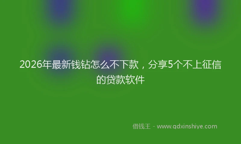 2026年最新钱钻怎么不下款，分享5个不上征信的贷款软件
