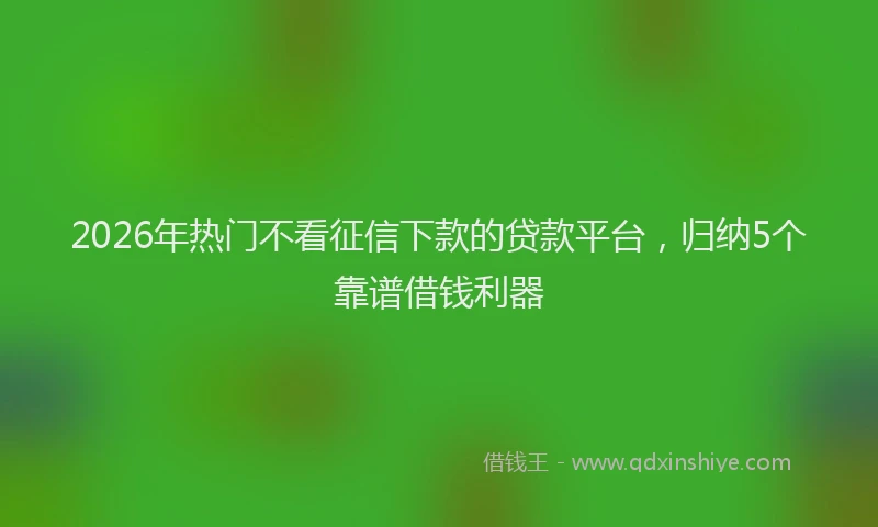 2026年热门不看征信下款的贷款平台，归纳5个靠谱借钱利器