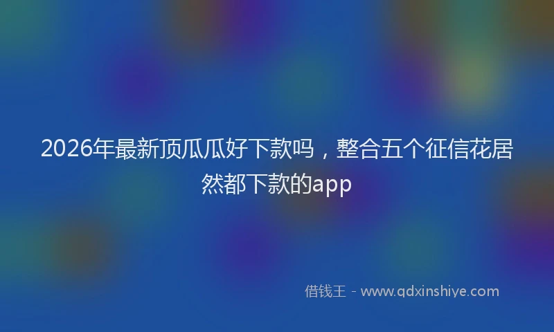 2026年最新顶瓜瓜好下款吗，整合五个征信花居然都下款的app