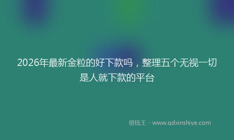2026年最新金粒的好下款吗，整理五个无视一切是人就下款的平台