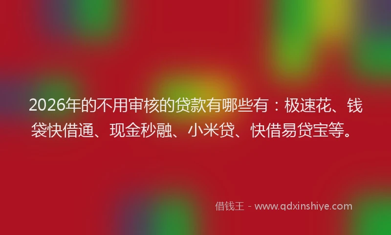 2026年的不用审核的贷款有哪些有：极速花、钱袋快借通、现金秒融、小米贷、快借易贷宝等。