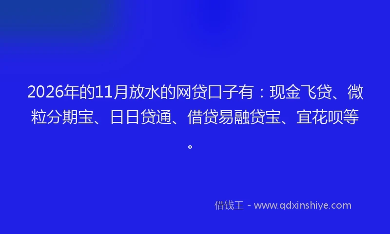 2026年的11月放水的网贷口子有：现金飞贷、微粒分期宝、日日贷通、借贷易融贷宝、宜花呗等。