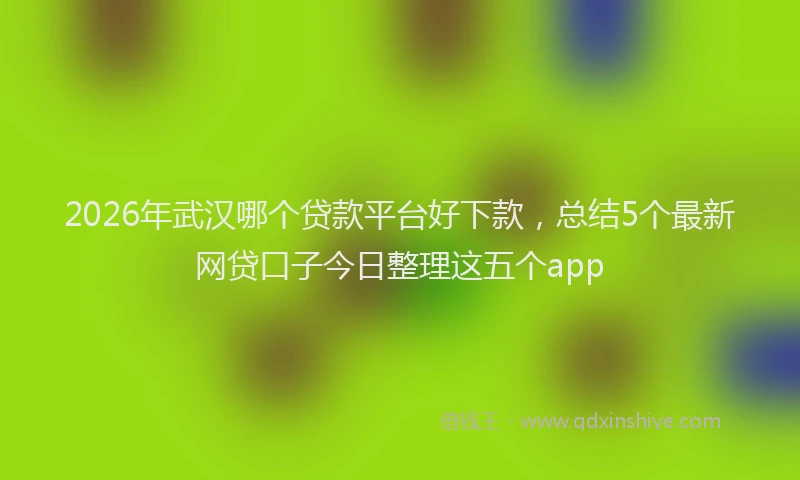 2026年武汉哪个贷款平台好下款，总结5个最新网贷口子今日整理这五个app