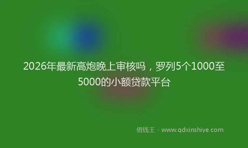 2026年最新高炮晚上审核吗，罗列5个1000至5000的小额贷款平台