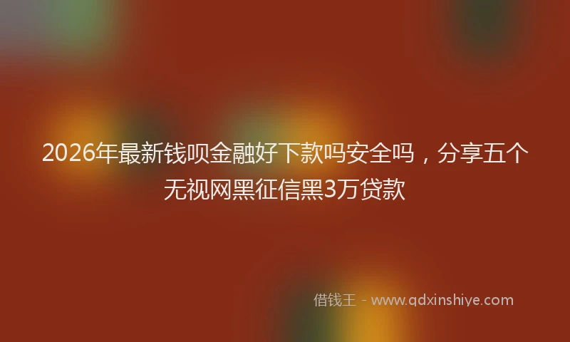 2026年最新钱呗金融好下款吗安全吗，分享五个无视网黑征信黑3万贷款