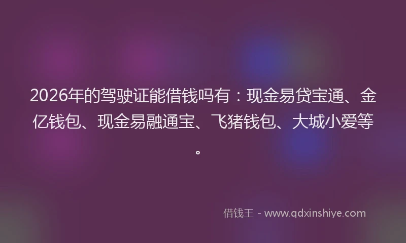 2026年的驾驶证能借钱吗有：现金易贷宝通、金亿钱包、现金易融通宝、飞猪钱包、大城小爱等。