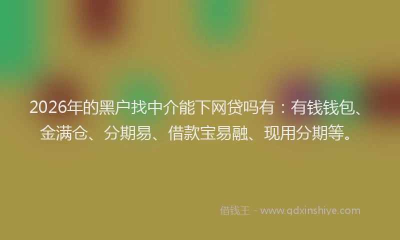 2026年的黑户找中介能下网贷吗有：有钱钱包、金满仓、分期易、借款宝易融、现用分期等。