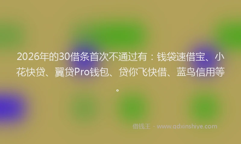 2026年的30借条首次不通过有：钱袋速借宝、小花快贷、翼贷Pro钱包、贷你飞快借、蓝鸟信用等。