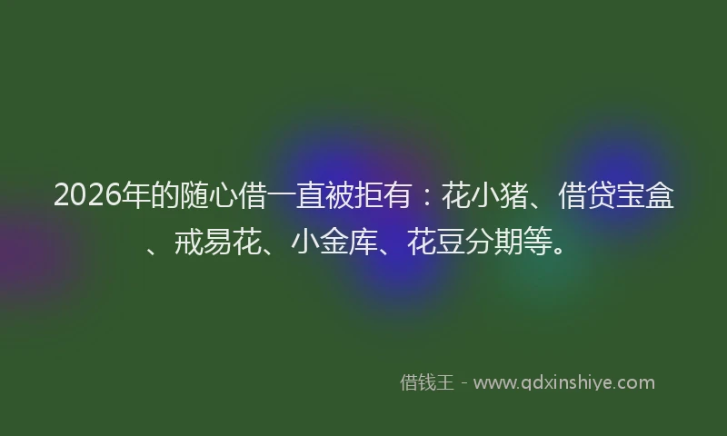 2026年的随心借一直被拒有：花小猪、借贷宝盒、戒易花、小金库、花豆分期等。