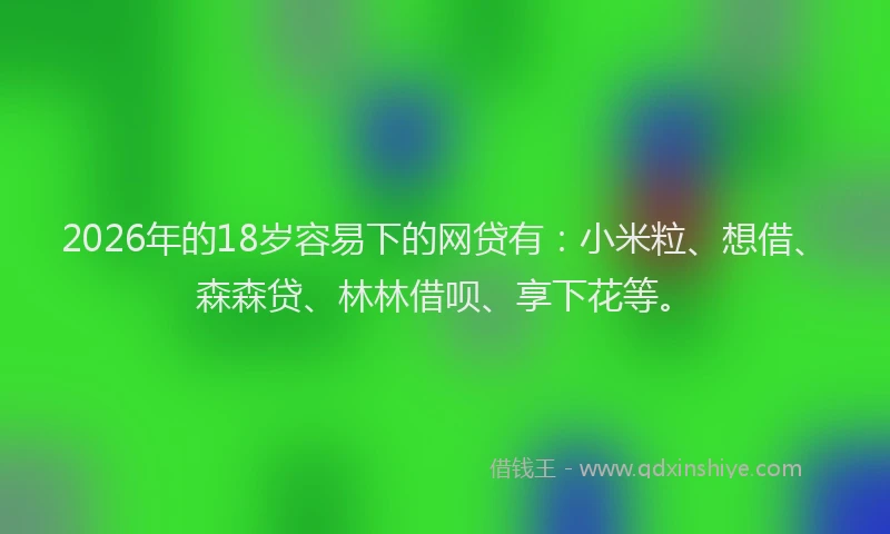 2026年的18岁容易下的网贷有：小米粒、想借、森森贷、林林借呗、享下花等。