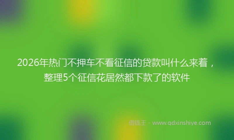 2026年热门不押车不看征信的贷款叫什么来着，整理5个征信花居然都下款了的软件