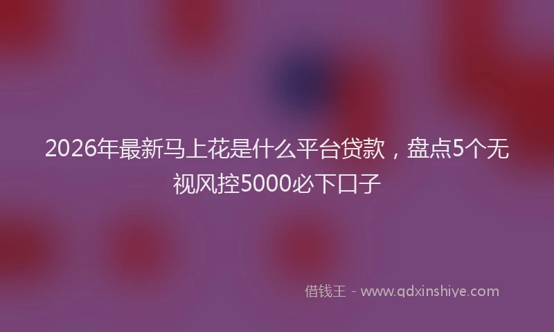 2026年最新马上花是什么平台贷款，盘点5个无视风控5000必下口子