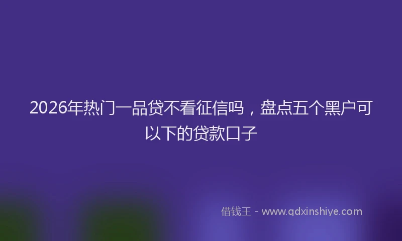 2026年热门一品贷不看征信吗，盘点五个黑户可以下的贷款口子