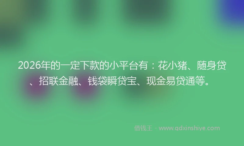 2026年的一定下款的小平台有：花小猪、随身贷、招联金融、钱袋瞬贷宝、现金易贷通等。