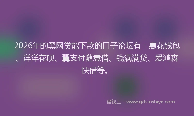 2026年的黑网贷能下款的口子论坛有：惠花钱包、洋洋花呗、翼支付随意借、钱满满贷、爱鸿森快借等。