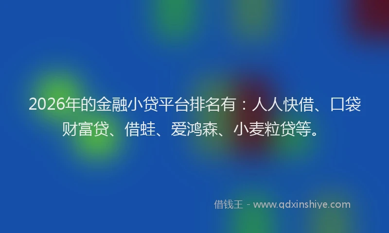 2026年的金融小贷平台排名有：人人快借、口袋财富贷、借蛙、爱鸿森、小麦粒贷等。