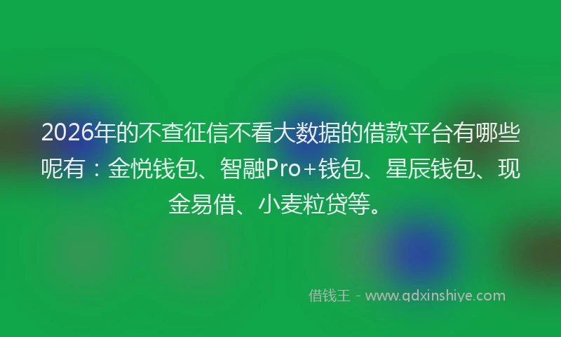 2026年的不查征信不看大数据的借款平台有哪些呢有：金悦钱包、智融Pro+钱包、星辰钱包、现金易借、小麦粒贷等。