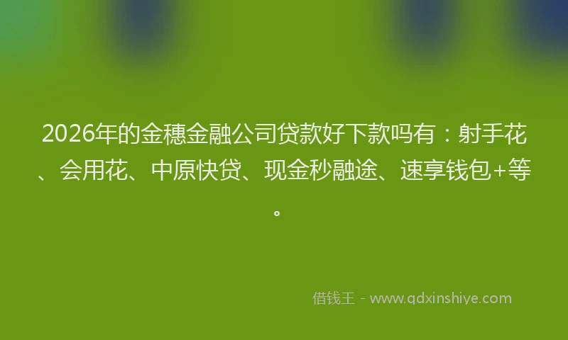 2026年的金穗金融公司贷款好下款吗有：射手花、会用花、中原快贷、现金秒融途、速享钱包+等。