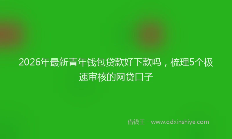 2026年最新青年钱包贷款好下款吗，梳理5个极速审核的网贷口子