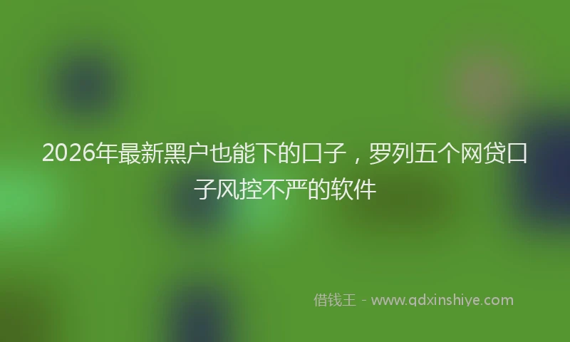 2026年最新黑户也能下的口子，罗列五个网贷口子风控不严的软件
