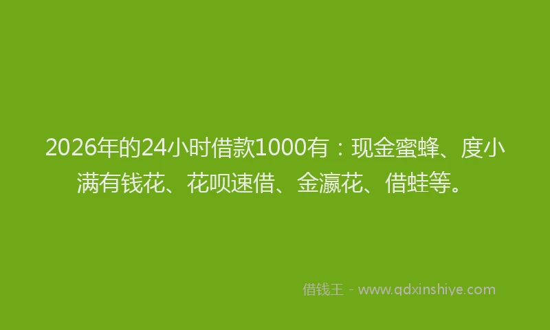 2026年的24小时借款1000有：现金蜜蜂、度小满有钱花、花呗速借、金瀛花、借蛙等。