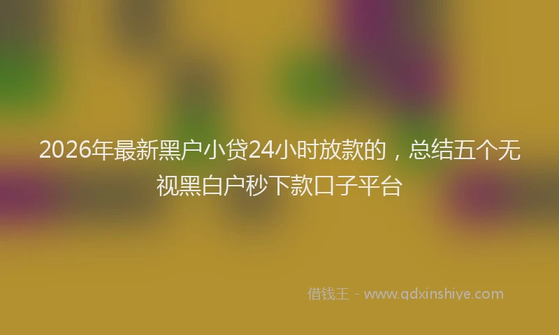 2026年最新黑户小贷24小时放款的，总结五个无视黑白户秒下款口子平台