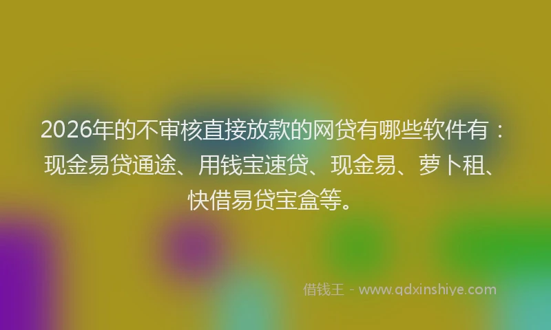 2026年的不审核直接放款的网贷有哪些软件有：现金易贷通途、用钱宝速贷、现金易、萝卜租、快借易贷宝盒等。