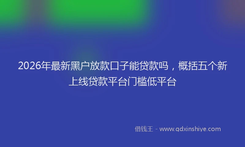 2026年最新黑户放款口子能贷款吗，概括五个新上线贷款平台门槛低平台