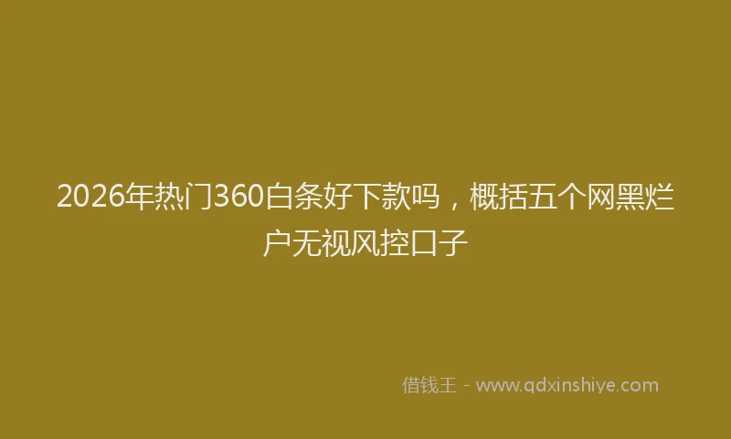 2026年热门360白条好下款吗，概括五个网黑烂户无视风控口子