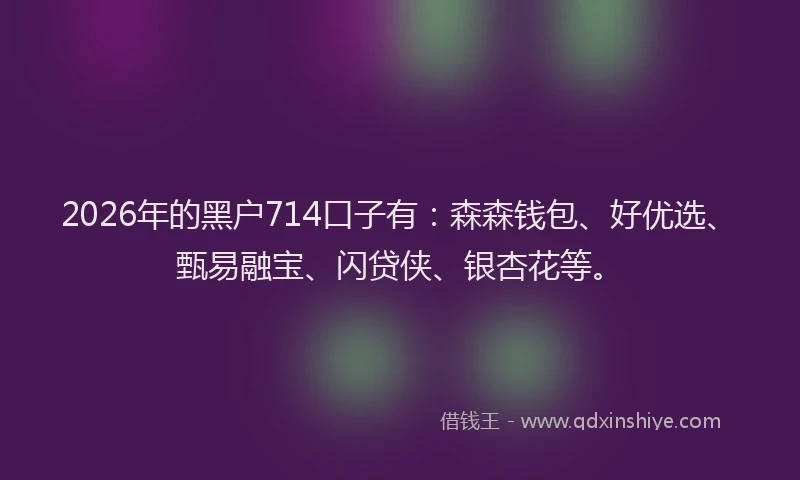 2026年的黑户714口子有：森森钱包、好优选、甄易融宝、闪贷侠、银杏花等。