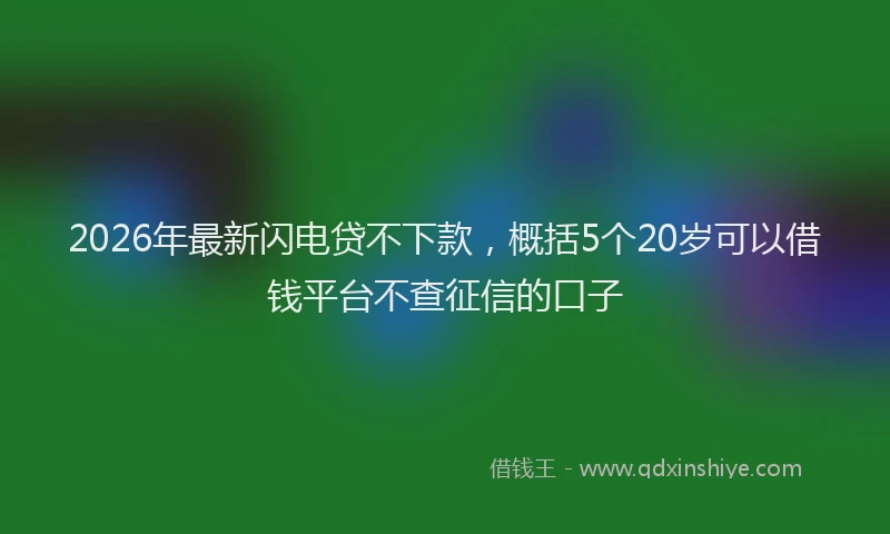 2026年最新闪电贷不下款，概括5个20岁可以借钱平台不查征信的口子