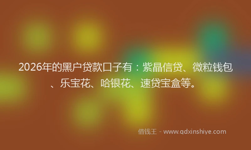 2026年的黑户贷款口子有：紫晶信贷、微粒钱包、乐宝花、哈银花、速贷宝盒等。
