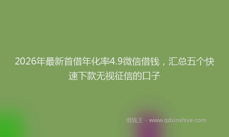 2026年最新首借年化率4.9微信借钱，汇总五个快速下款无视征信的口子