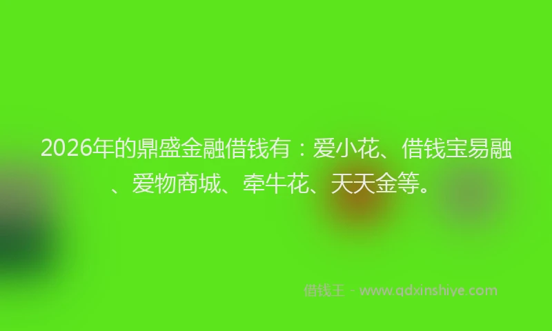 2026年的鼎盛金融借钱有：爱小花、借钱宝易融、爱物商城、牵牛花、天天金等。