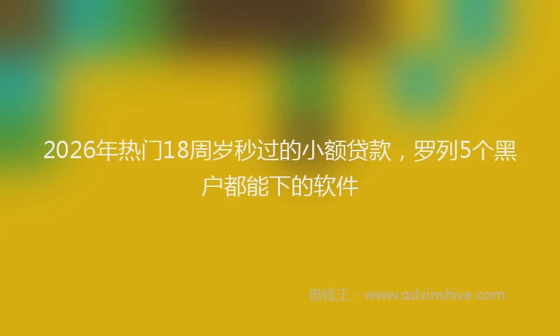 2026年热门18周岁秒过的小额贷款，罗列5个黑户都能下的软件