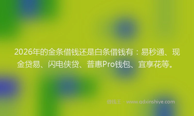 2026年的金条借钱还是白条借钱有：易秒通、现金贷易、闪电侠贷、普惠Pro钱包、宜享花等。