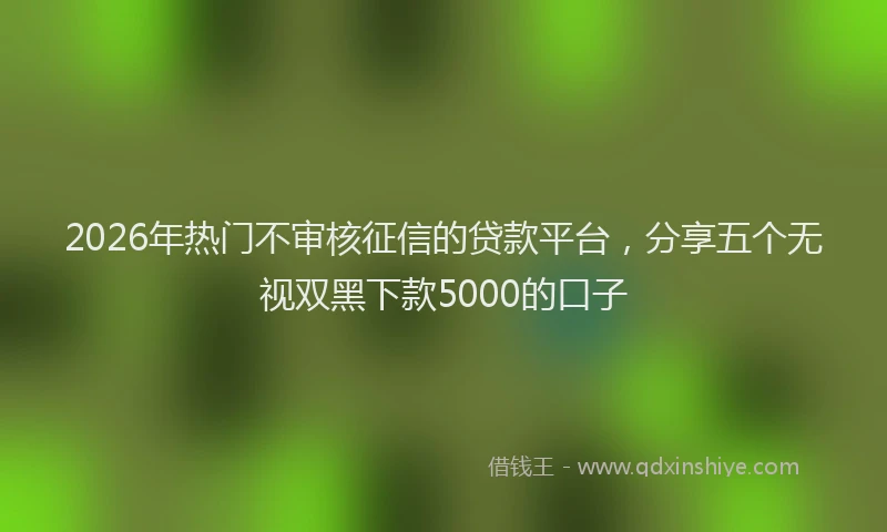 2026年热门不审核征信的贷款平台，分享五个无视双黑下款5000的口子