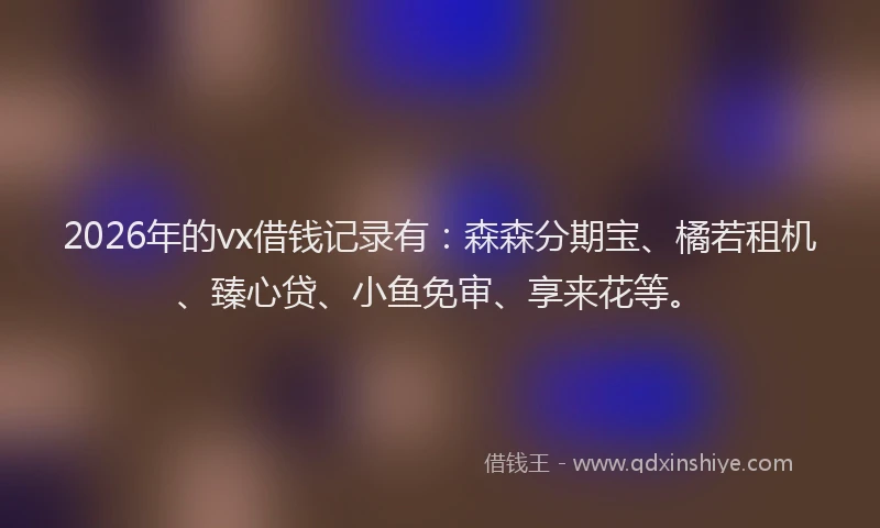 2026年的vx借钱记录有：森森分期宝、橘若租机、臻心贷、小鱼免审、享来花等。