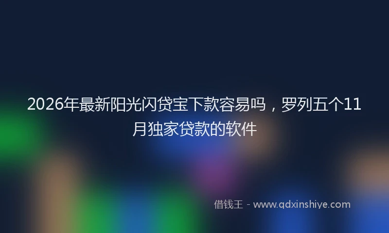 2026年最新阳光闪贷宝下款容易吗，罗列五个11月独家贷款的软件