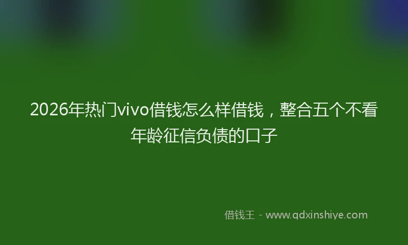 2026年热门vivo借钱怎么样借钱，整合五个不看年龄征信负债的口子