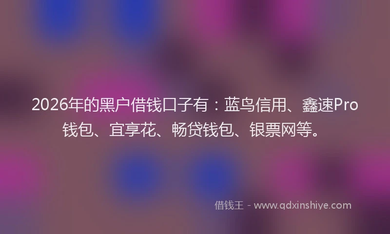 2026年的黑户借钱口子有：蓝鸟信用、鑫速Pro钱包、宜享花、畅贷钱包、银票网等。