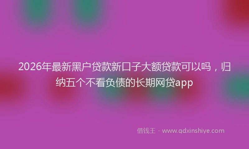2026年最新黑户贷款新口子大额贷款可以吗，归纳五个不看负债的长期网贷app