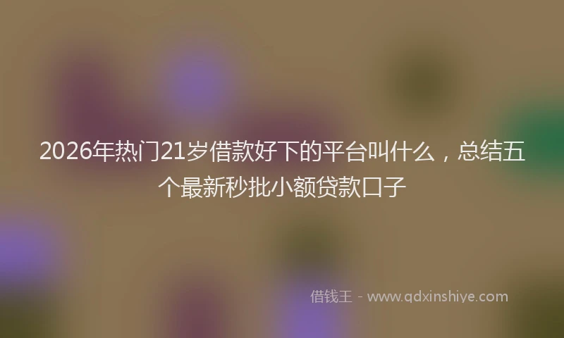 2026年热门21岁借款好下的平台叫什么，总结五个最新秒批小额贷款口子
