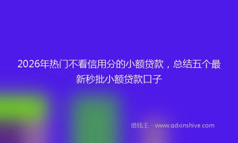 2026年热门不看信用分的小额贷款，总结五个最新秒批小额贷款口子