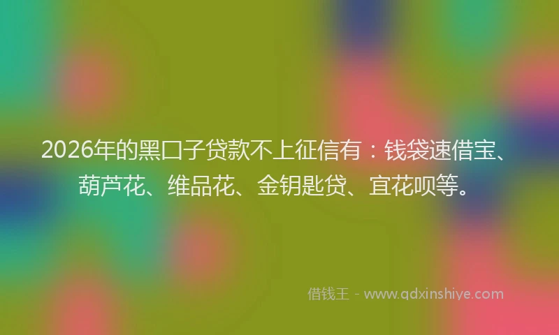 2026年的黑囗子贷款不上征信有：钱袋速借宝、葫芦花、维品花、金钥匙贷、宜花呗等。